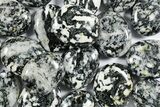 1.7" Polished "Zebra Stone" Pocket Stones - Photo 4